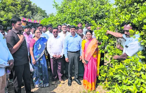 సేంద్రియ సాగుకు ప్రోత్సాహం