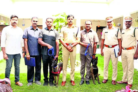 చట్టాలపై అవగాహన కల్పించాలి