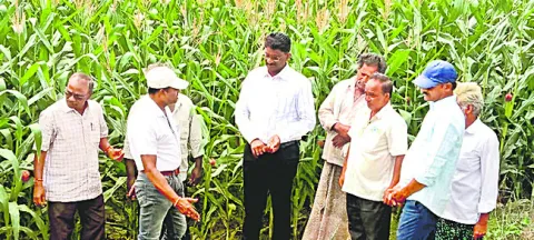 సాగునీటిపై ఆందోళన వద్దు 