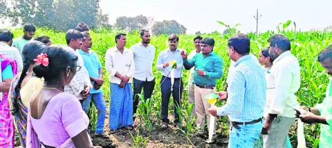 సస్యరక్షణ చర్యలపై రైతులకు అవగాహన