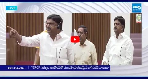 Payyavula Keshav Overaction In Assembly 1