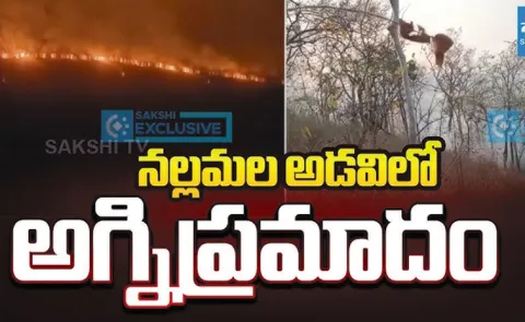 Massive Fire Breaks Out at Nallamala Forest