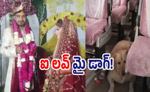 brides pet dog UP wedding called off after groom family hurts