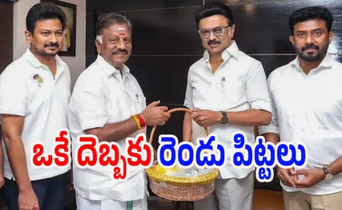 OPS meets Tamil Nadu CM MK Stalin in Assembly