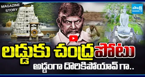 CM Chandrababu Fake Allegations On Tirupati Laddu 1