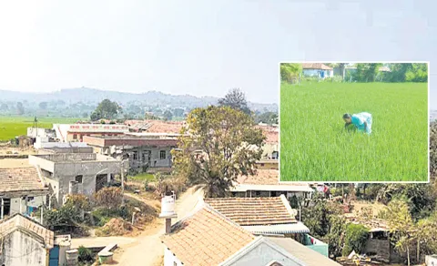 sircilla rangampet farmers face issues as revenue records village name