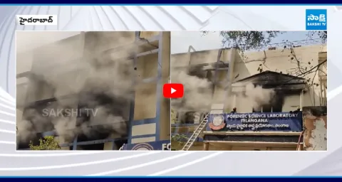 1100 Files Identified As Burnt In Forensic Science Lab Fire Accident 2