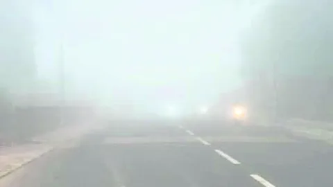 ముంచెత్తిన పొగమంచు 