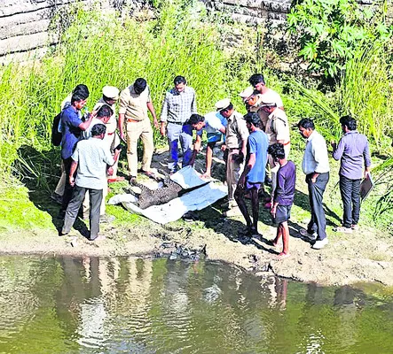 బురదలో కూరుకుపోయి చిరుత మృతి 