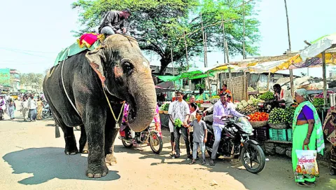 ●గవి మఠం.. గజరాజు ఆగమనం 