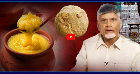 Chandrababu New Commission On Tirumala Laddu Issue  1