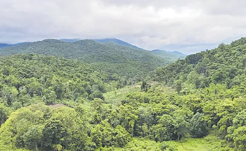 Illegal trafficking from AOB