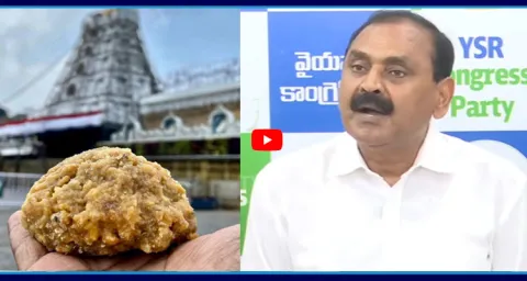 Bhumana Karunakar Reddy Counter to Chandrababu Over Tirumala Laddu Issue 1