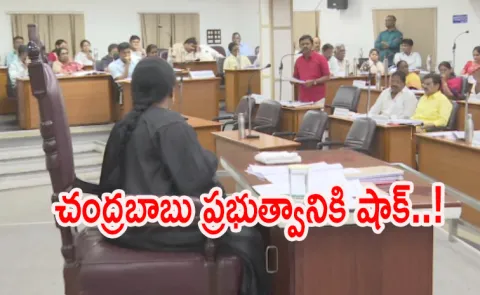 VMC Rejects AP Govt Decision Over Project Of Roads