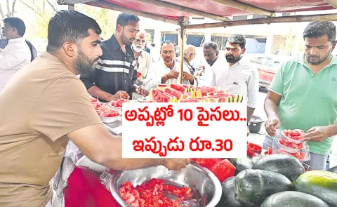 Watermelon 365 days vendor mint compound in Hyderabad