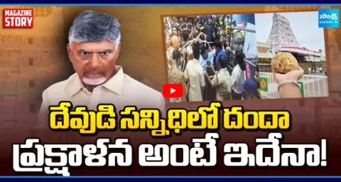 Magazine Story On Chandrababu Scam With Venkateshwara Swamy Tickets  1