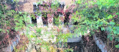 నాటి వైభవాన్ని కమ్మేశాయి 