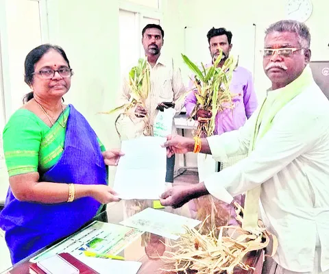 ఎలాంటి ధృవీకరణ  లేకుండానే ప్యాకింగ్‌ 
