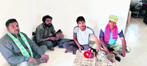 అడవికోడిని పట్టిన కేసులో నలుగురి అరెస్టు