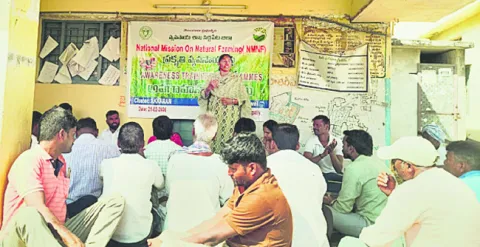 ప్రకృతి వ్యవసాయం ఎంతో మేలు