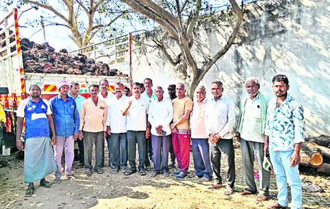 పామాయిల్‌ రైతులకు మార్కెట్‌ సౌకర్యం కల్పించాలి