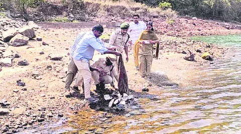 అక్రమంగా తరలిస్తున్న 320 తాబేళ్ల స్వాధీనం 
