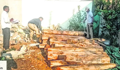 అక్రమ కలప స్వాధీనం 
