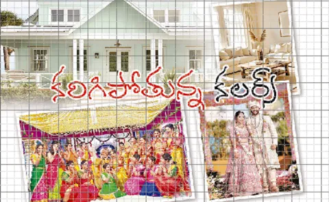 Sakshi Funday Special Story: Chromophobia is an intense fear of colors