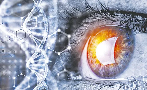 Scientists in Korea develop retinal therapy to restore lost vision