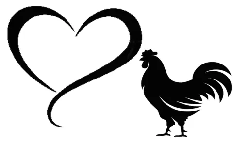 kodipuju thife in Julurupadu