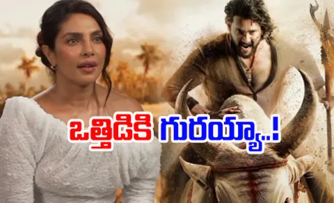 Actress Priyanka Chopra I don't think I ever wanted to leave Bollywood4