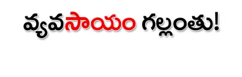 వీఏఏల