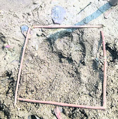 జత కోసమా..జాగ కోసమా..!