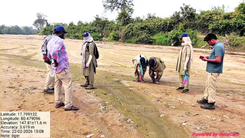 అటవీ అధికారుల భిన్నవాదనలు