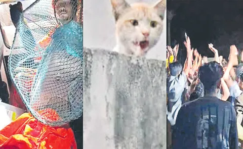 Rescue saves cat trapped in Kochi Metro pillar