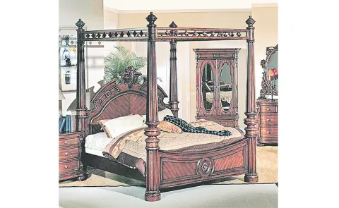 The growing craze for canopy beds