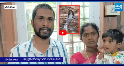 Snake Bites Lady Devotee in Tirumala 1