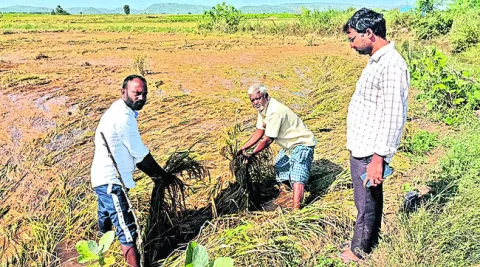 సర్వేతో సరి.. పరిహారం ఊసేది..?