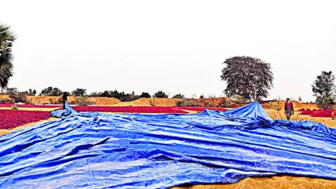 ముత్తంగి అలంకరణలో రామయ్య