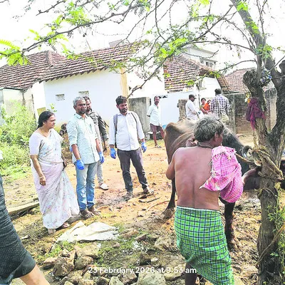 పాడి పశువుల పాలు, రక్తం నమూనాల సేకరణ 