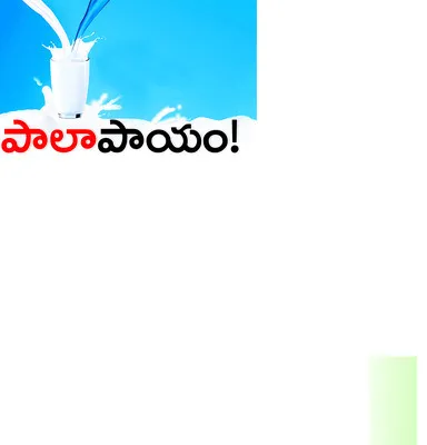 ప్యాక