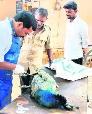 ఆర్థిక ఇబ్బందులతో  వ్యక్తి బలవన్మరణం
