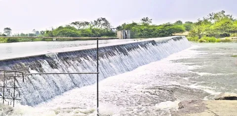 ‘హరిద్ర’ మనోహరం..