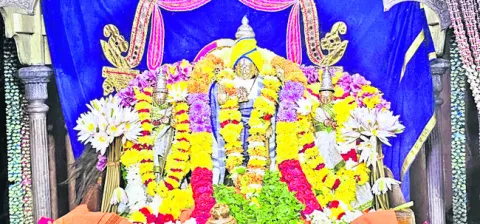 3న అప్పన్న డోలోత్సవం