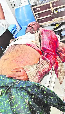 పచ్చమూకల పైశాచికం 