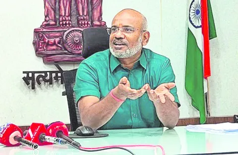 ఇది ఆ పులి కాదు 
