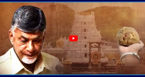 YS Jagan Stops Chandrababu Fake Propaganda 1