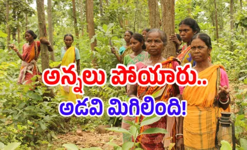 The ordinary life of Maoists in the forests of Chhattisgarh