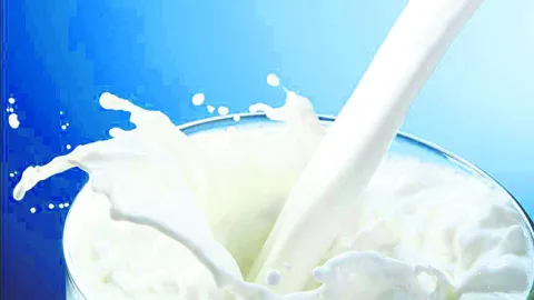 తనిఖీ లో‘పాలు’!