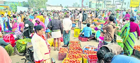 టమోటా ధరలు ఢమాల్‌ 